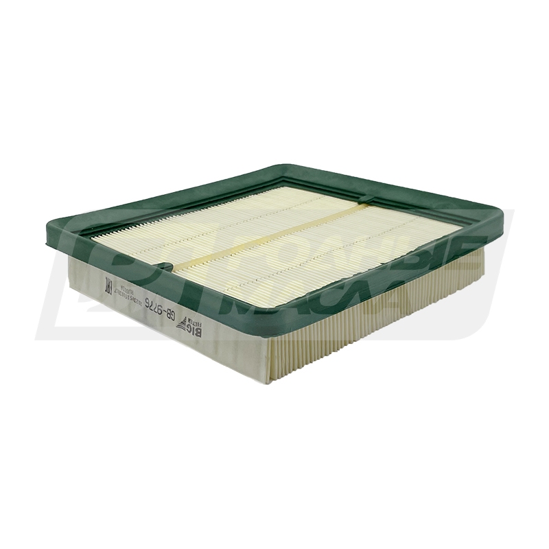 BIG FILTER GB-9776 (C2229, LX827, AP082/1, GM 96182220) GB9776